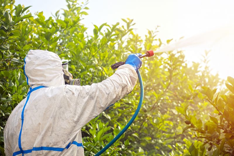 Commercial Fumigation in Myrtle Beach, SC