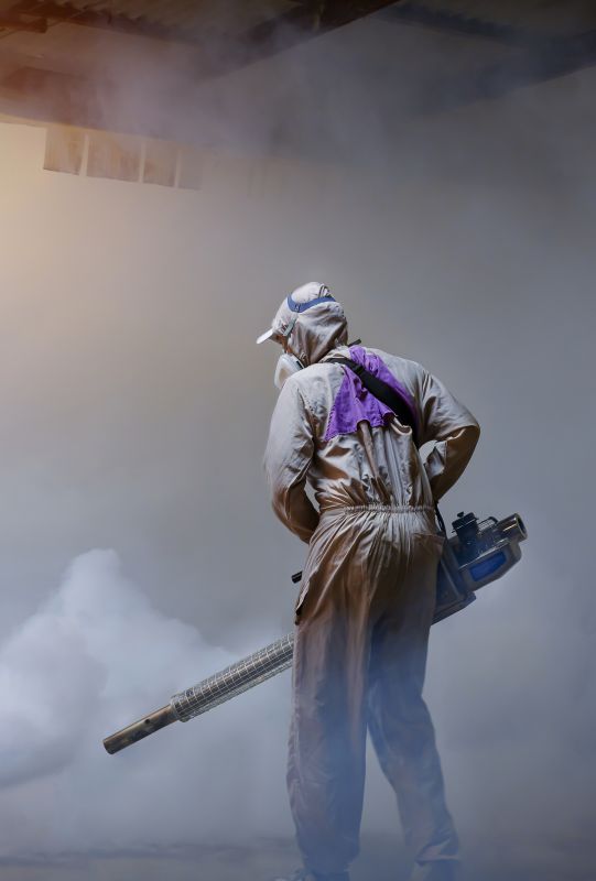 Rat Fumigation Service in Fort Collins, CO