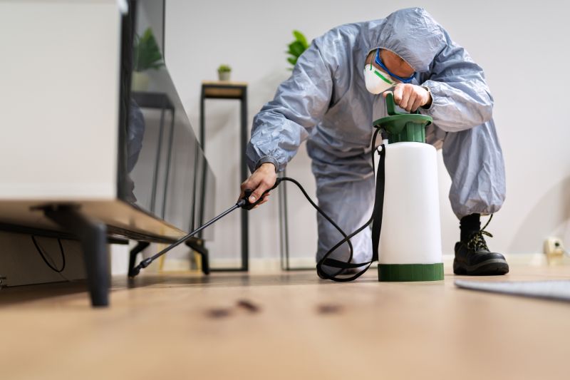 Residential Fumigation in San Antonio, TX