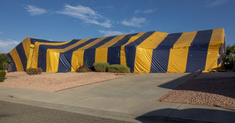Termite Tenting in Naperville, IL