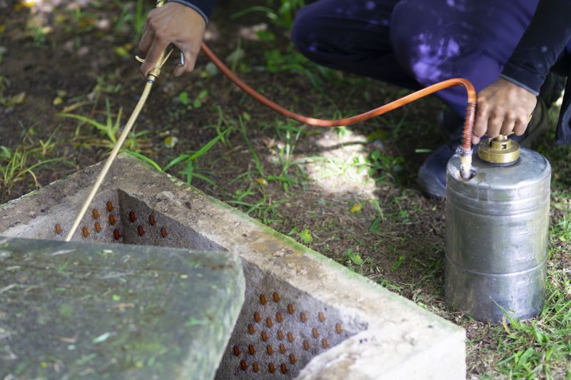 What Is Fumigation, And When Is It Necessary For Pest Control?