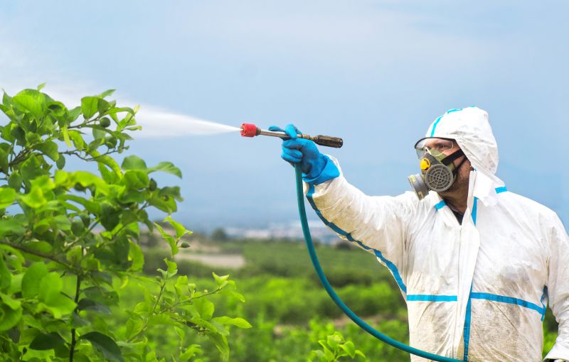 Commercial Fumigation in Oklahoma City, OK